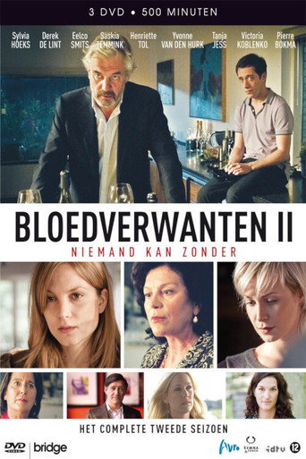 Póster de Bibliotekstjuven