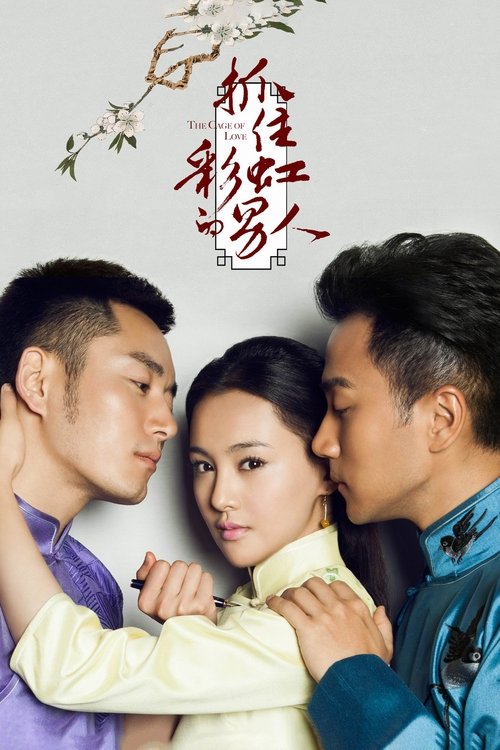 Póster de 抓住彩虹的男人