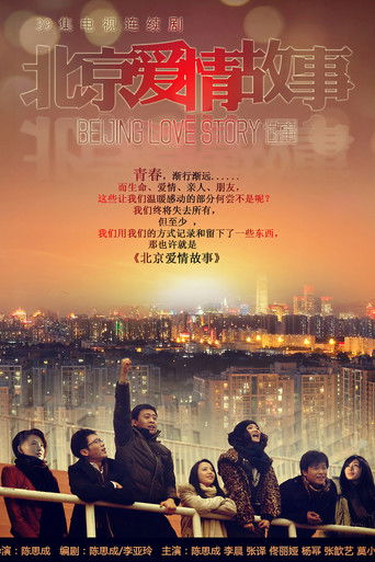 Póster de 北京爱情故事