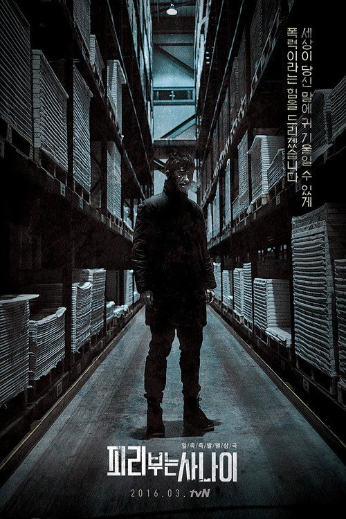 Póster de 피리부는 사나이