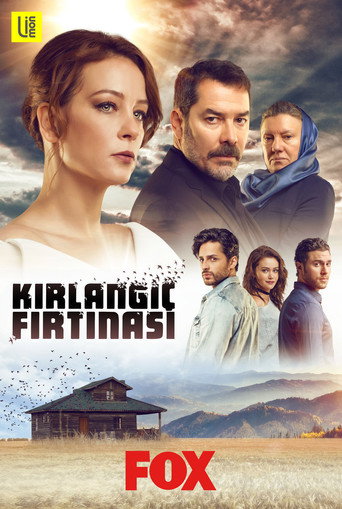 Póster de Kırlangıç Fırtınası