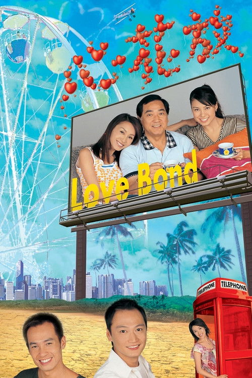 Póster de 心花放