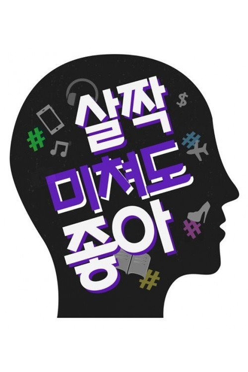 Póster de 살짝 미쳐도 좋아