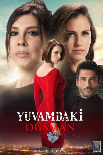 Póster de Yuvamdaki Düşman