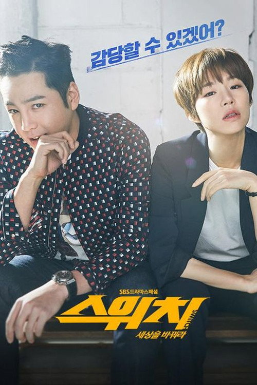 Póster de 스위치