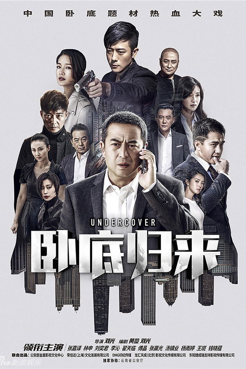Póster de 卧底归来