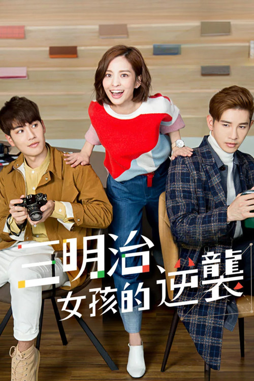Póster de 三明治女孩的逆襲