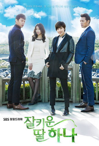 Póster de 잘 키운 딸 하나