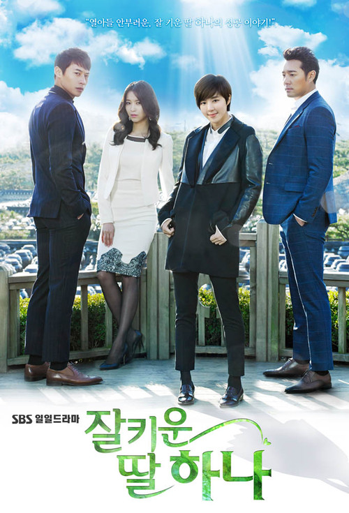Póster de 잘 키운 딸 하나
