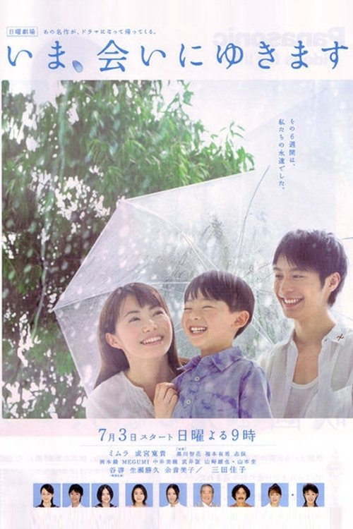 Póster de いま、会いにゆきます