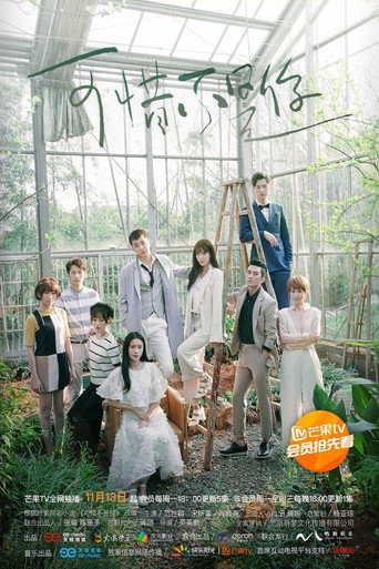 Póster de 可惜不是你