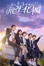 Póster de Jardín de meteoros