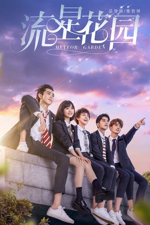 Póster de Jardín de meteoros