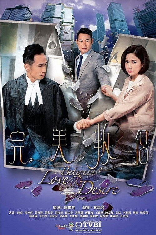Póster de 完美叛侶