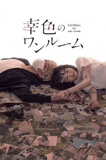 Póster de A Little Room for Hope