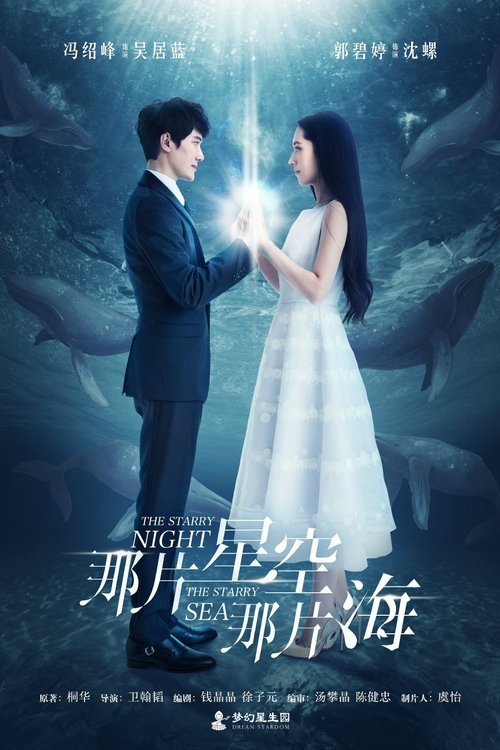 Póster de 那片星空那片海