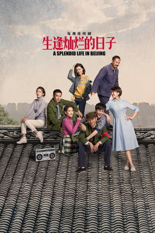 Póster de 生逢灿烂的日子