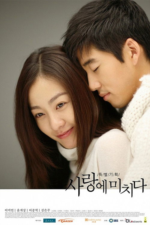 Póster de 사랑에 미치다