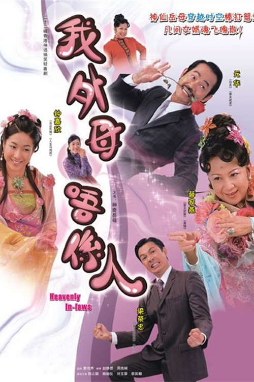 Póster de 我外母唔係人