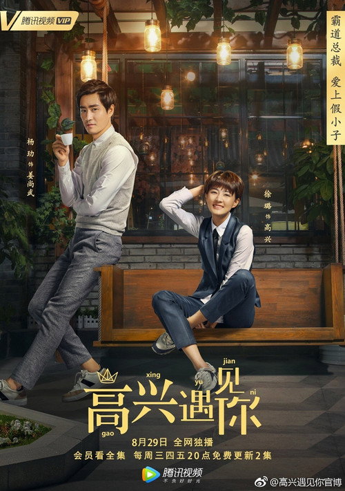 Póster de 高兴遇见你