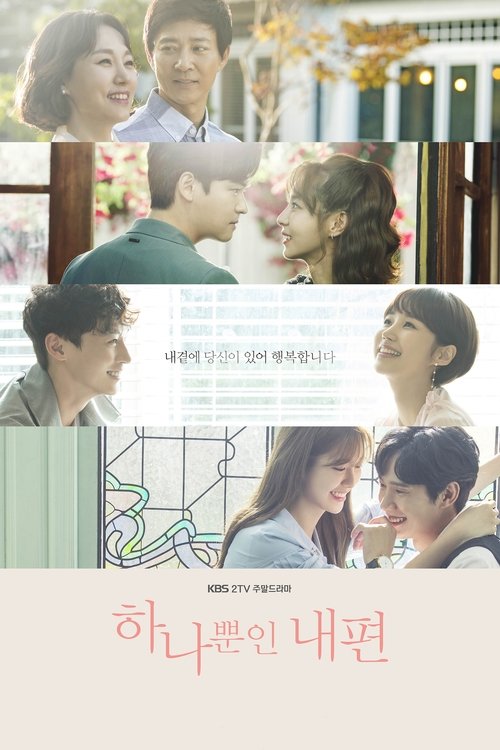 Póster de 하나뿐인 내편