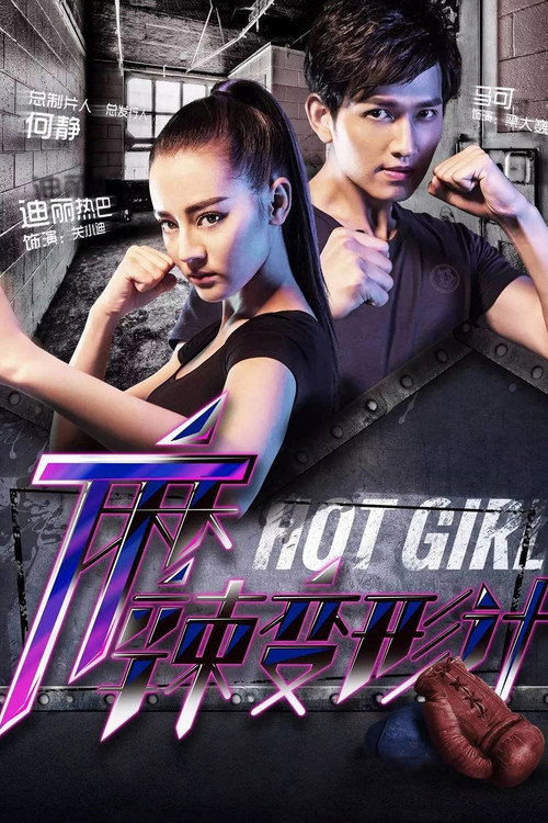 Póster de 麻辣变形计