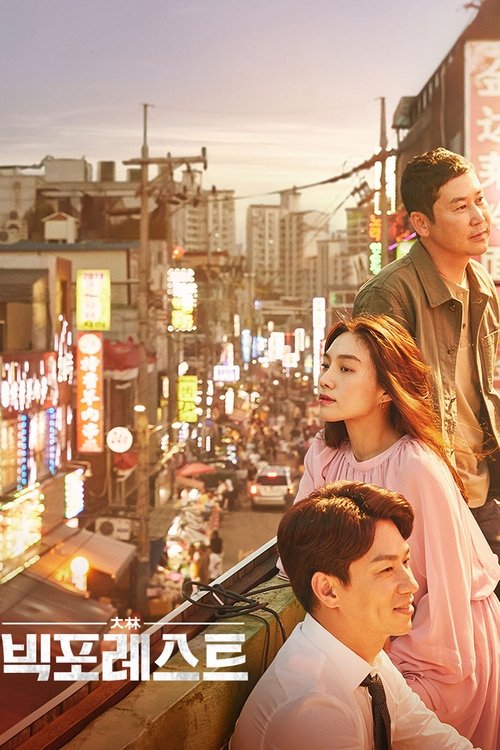 Póster de 빅 포레스트