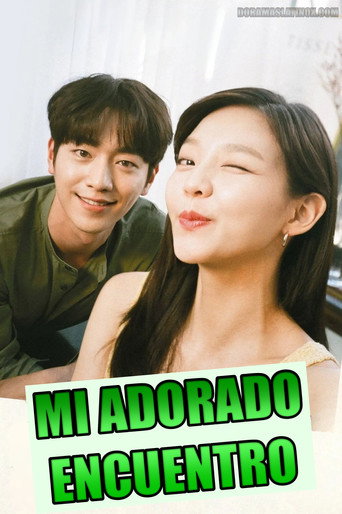 Póster de Mi adorado encuentro