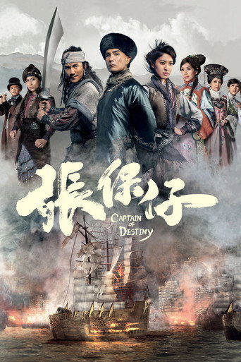 Póster de 張保仔