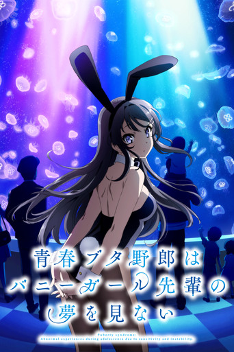 Póster de Rascal Does Not Dream of Bunny Girl Senpai
