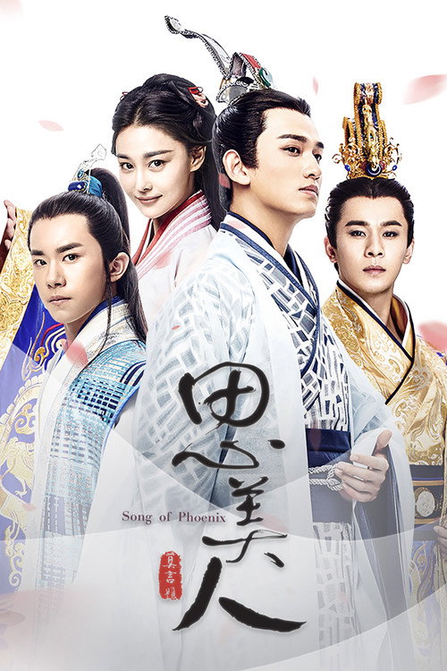 Póster de 思美人