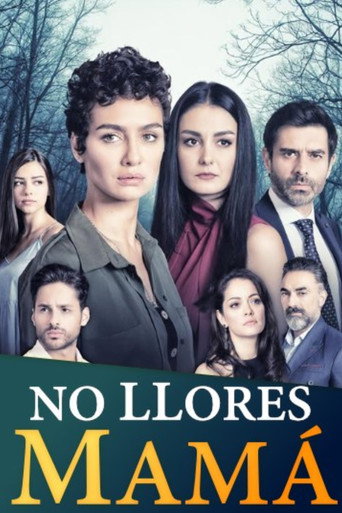 Póster de No Llores mamá
