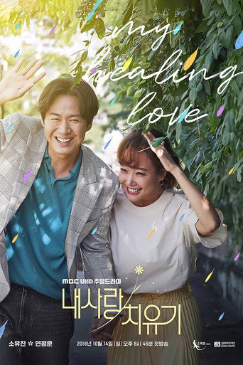 Póster de 내 사랑 치유기