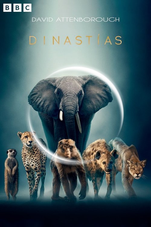 Póster de Dinastías