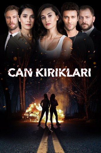 Póster de Can Kırıkları