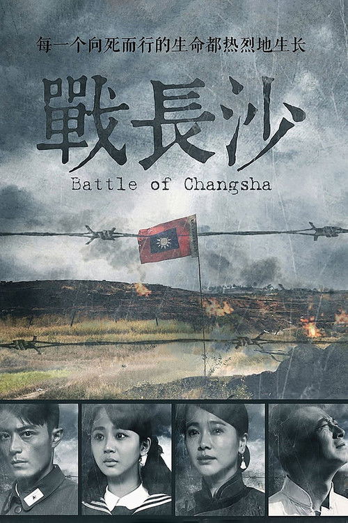 Póster de 战长沙