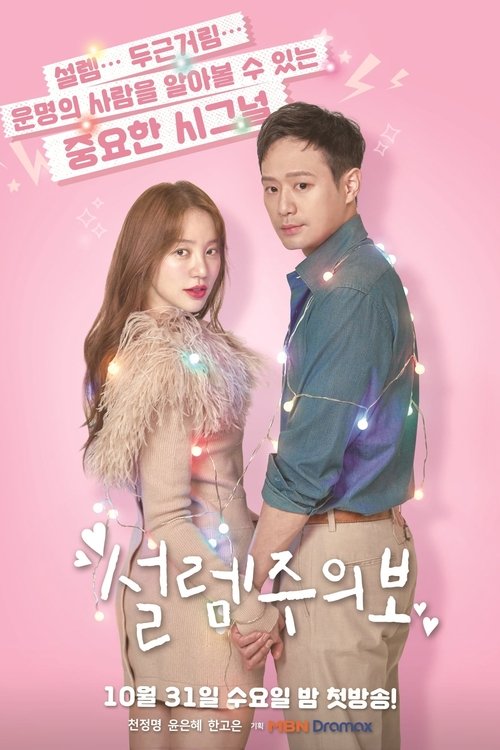 Póster de 설렘주의보