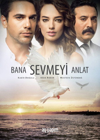 Póster de Bana Sevmeyi Anlat