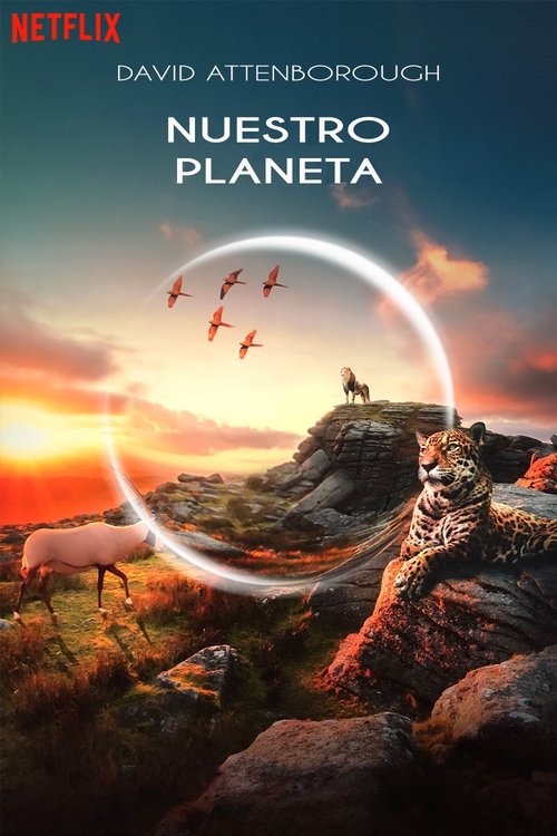 Póster de Nuestro planeta