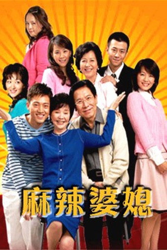 Póster de 麻辣婆媳
