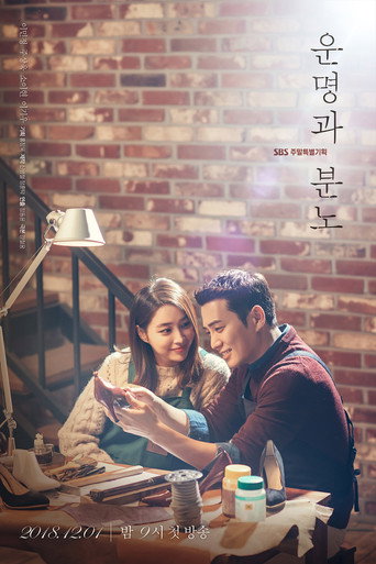Póster de 운명과 분노