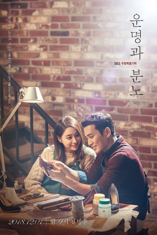 Póster de 운명과 분노