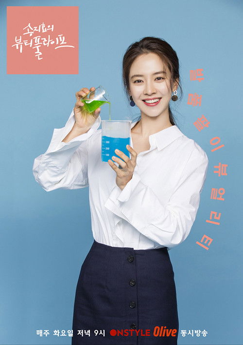 Póster de 송지효의 뷰티풀 라이프