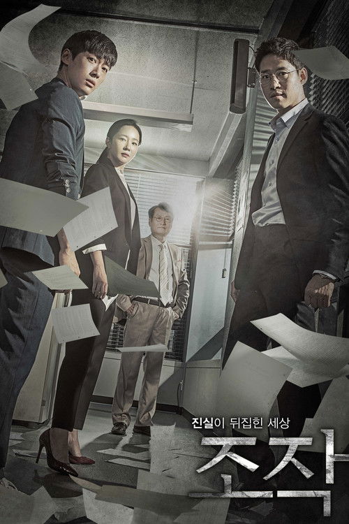 Póster de 조작