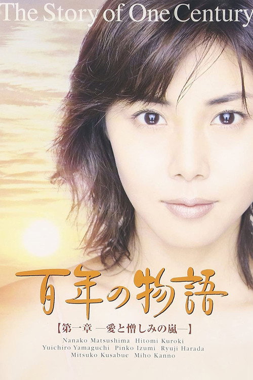 Póster de 百年の物語