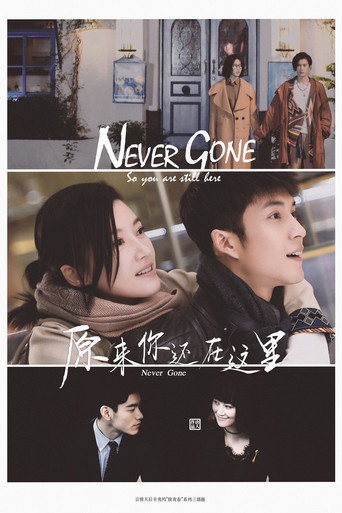 Póster de 原来你还在这里