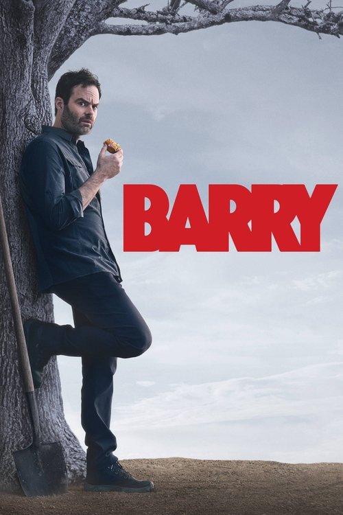 Póster de Barry
