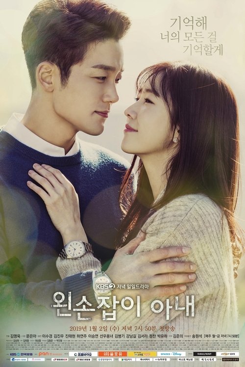 Póster de 왼손잡이 아내