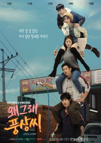 Póster de 왜그래 풍상씨