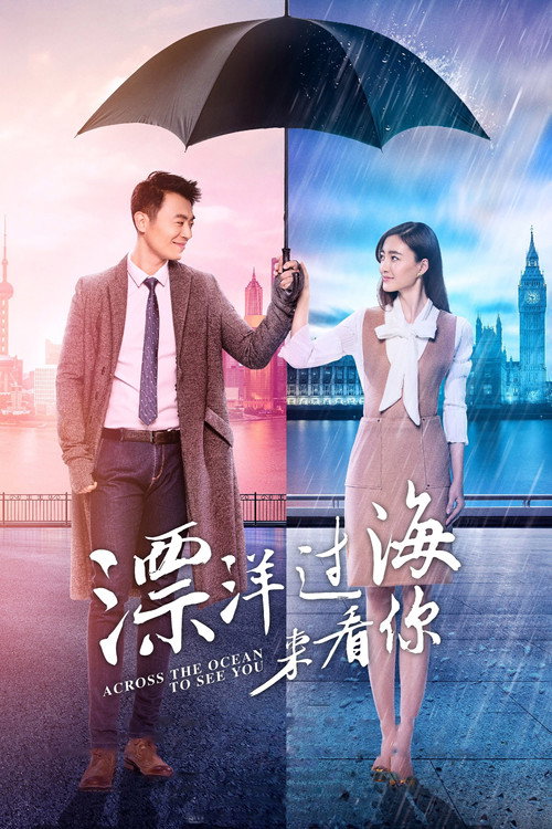 Póster de 漂洋过海来看你